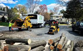 Best Lawn Maintenance Plans  in Connell, WA