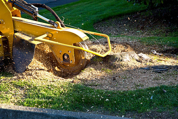 Lawn Maintenance Plans in Connell, WA